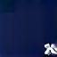 X (formerly Twitter) logo